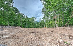 Eagle Cove Road lot: 8, Eureka Springs, AR 72631
