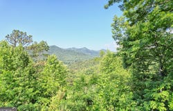 Raven Fork Trail, Dillard, GA 30537