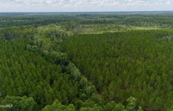 Fire Tower Road, Manor, GA 31550