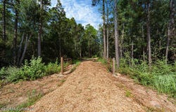 27265 Mississippi 603, Perkinston, MS 39573