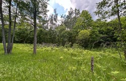 V/L 20AC Weaver Road, Comins, MI 48619