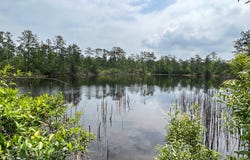 FM 2937/Old Arco Road, Silsbee, TX 77656