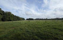 White Oak Road Tract A, Wilsons, VA 23894