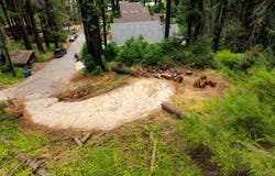 1131 Rambling RD, BOULDER CREEK, CA 95006