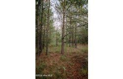 Nighthawk Loop lot: 1-Tbd, Aberdeen, NC 28315