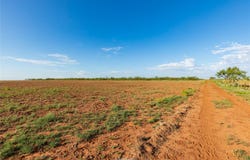CR 252, Colorado City, TX 79512