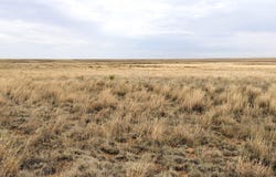 County Road 41, Bledsoe, TX 79314