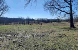 Robinson Street, Mammoth Spring, AR 72554