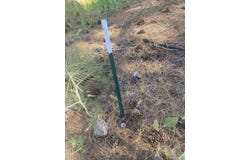 Spruce Avenue, Portola, CA 96122