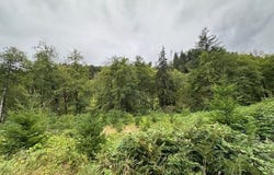 2 Dubois Rd, Ariel, WA 98603