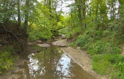 James Rd, Gilbertown, AL 36908