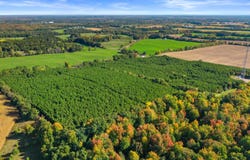 MERRYLAND DRIVE lot: 2, Custer, WI 54423