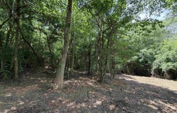 COUNTY ROAD 509 lot: 1, WOODLAND, AL 36280