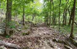 County Road 544, Bakersfield, MO 65609