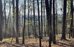 TR 1B Chalcrest Way, Cave Spring, GA 30124