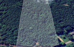 53 ACRES Beason Cove Road, Steele, AL 35987