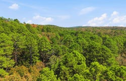 Rocky Gap Road, Conway, AR 72034