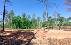 Carson Road, Cleveland, NC 27013
