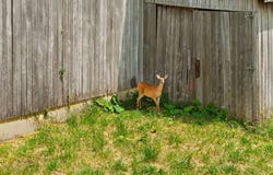 440 Randolph Road, Olive Hill, KY 41164