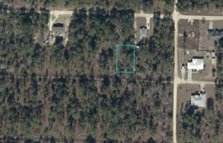 0930201700 NE 16TH LANE, WILLISTON, FL 32696