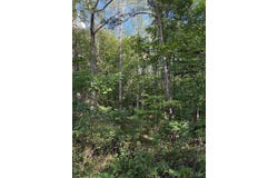 Oakville Road, Gladstone, VA 24593