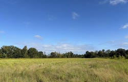 CR 428, PARIS, MS 38949