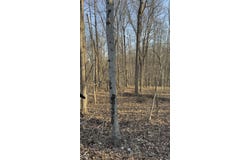 600 South, Reelsville, IN 46171