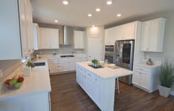 305 E Forsythia WAY, MOUNTAIN HOUSE, CA 95391