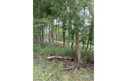 92 Skye Island Drive, Endicott, NY 13760