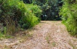 1317 N Main, Linden, TX 75563