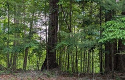 Bousman Cir, Hardy, VA 24101