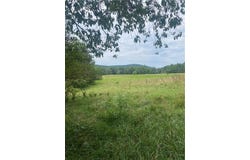 HWY 215, Oark, AR 72852