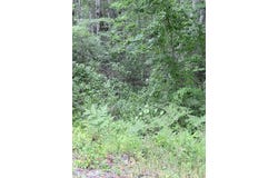 00 Walker Road, Lamoine, ME 04605