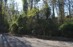 6830 Buck Trail Drive, Harrison, TN 37341