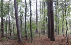 Westline Lots Drive, Madison, MS 39110