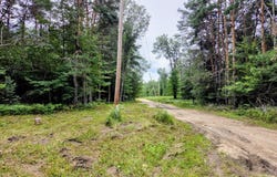 6573 Williams Trail, Grayling, MI 49738