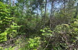 Big Hollow Rd, Monroe, TN 38573