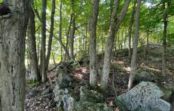 Austin Road #2, Antwerp, NY 13608