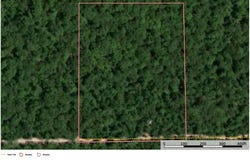 FM 909, Bogata, TX 75417