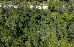 NE 262nd Ave, Old Town, FL 32680