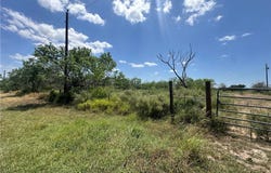 Orange Grove, TX 78372
