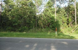 Dolphin Drive, Gautier, MS 39553
