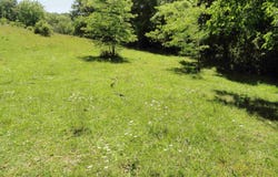 967 E Hwy 333, Saint Joe, AR 72675