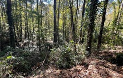 1060 De Leon Drive, Clarkston, GA 30021