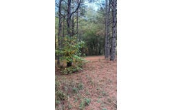 220 Kennon Drive, Hemphill, TX 75948