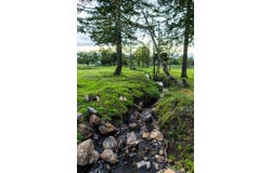 34082 Mt Tom Dr, Harrisburg, OR 97446