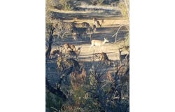 CR 436, Rochelle, TX 76872