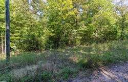 Singing Oaks, Mountain Rest, SC 29664