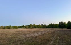 Sand Dam Road, Wagener, SC 29164