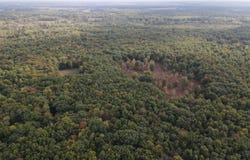 0VL S Mason Road, Ashley, MI 48806